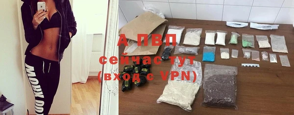 стафф Абинск
