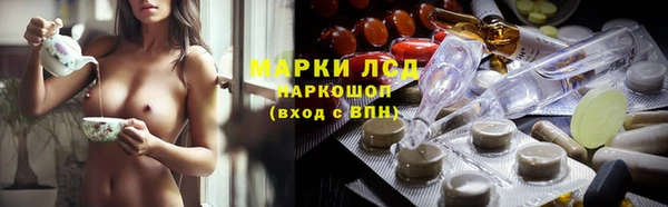 стафф Абинск