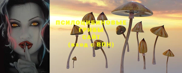 PSILOCYBIN Алзамай