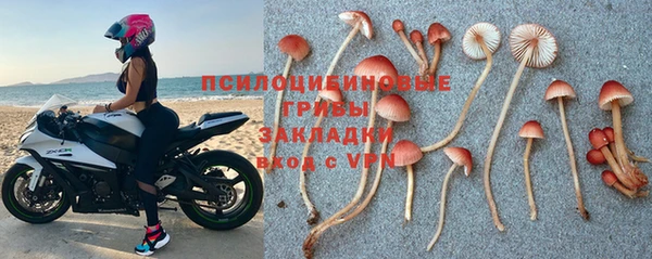 стафф Абинск