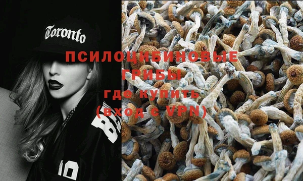 стафф Абинск