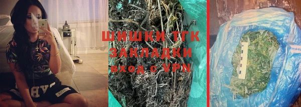 PSILOCYBIN Алзамай