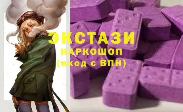 индика Алексин