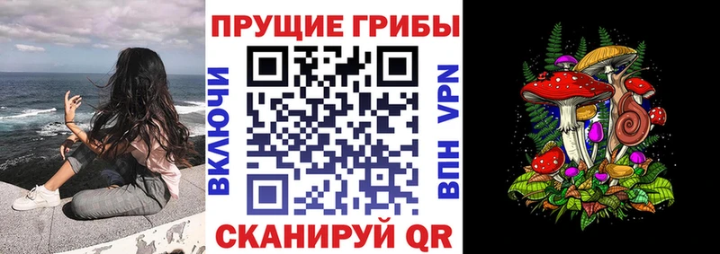 цены   Чердынь  Псилоцибиновые грибы мицелий 